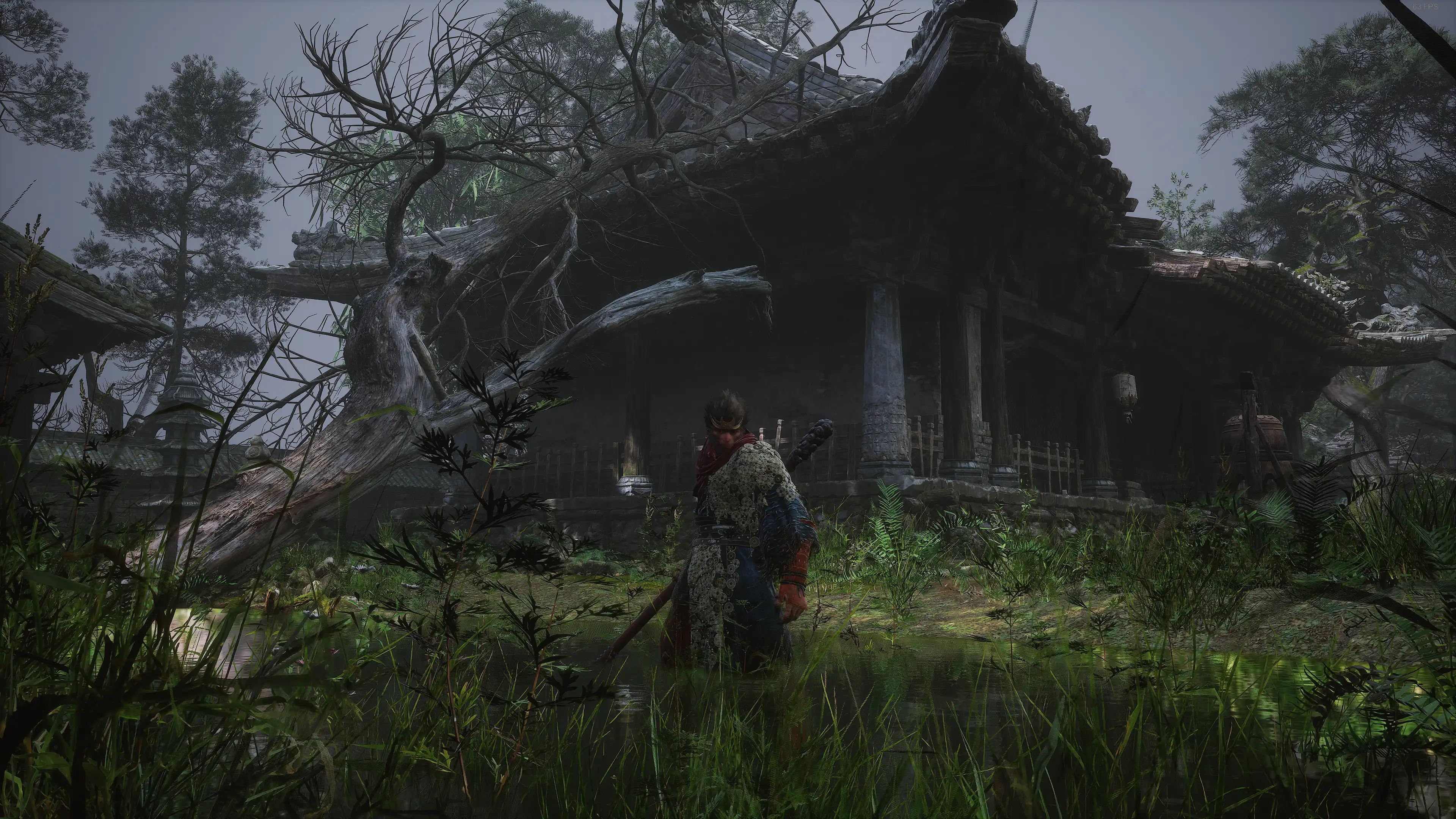 这里的房子居然上不去!