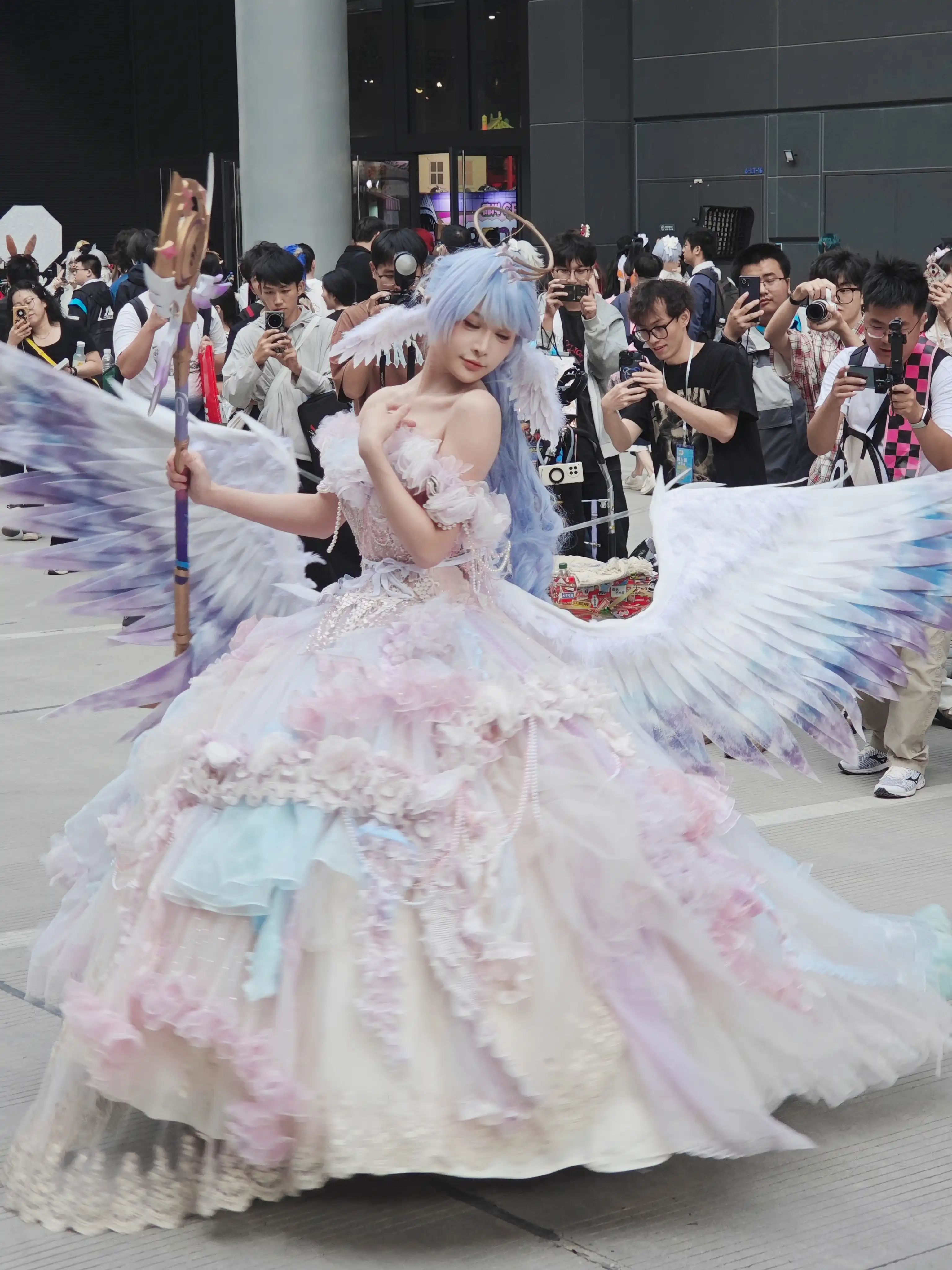 超好看的知更鸟