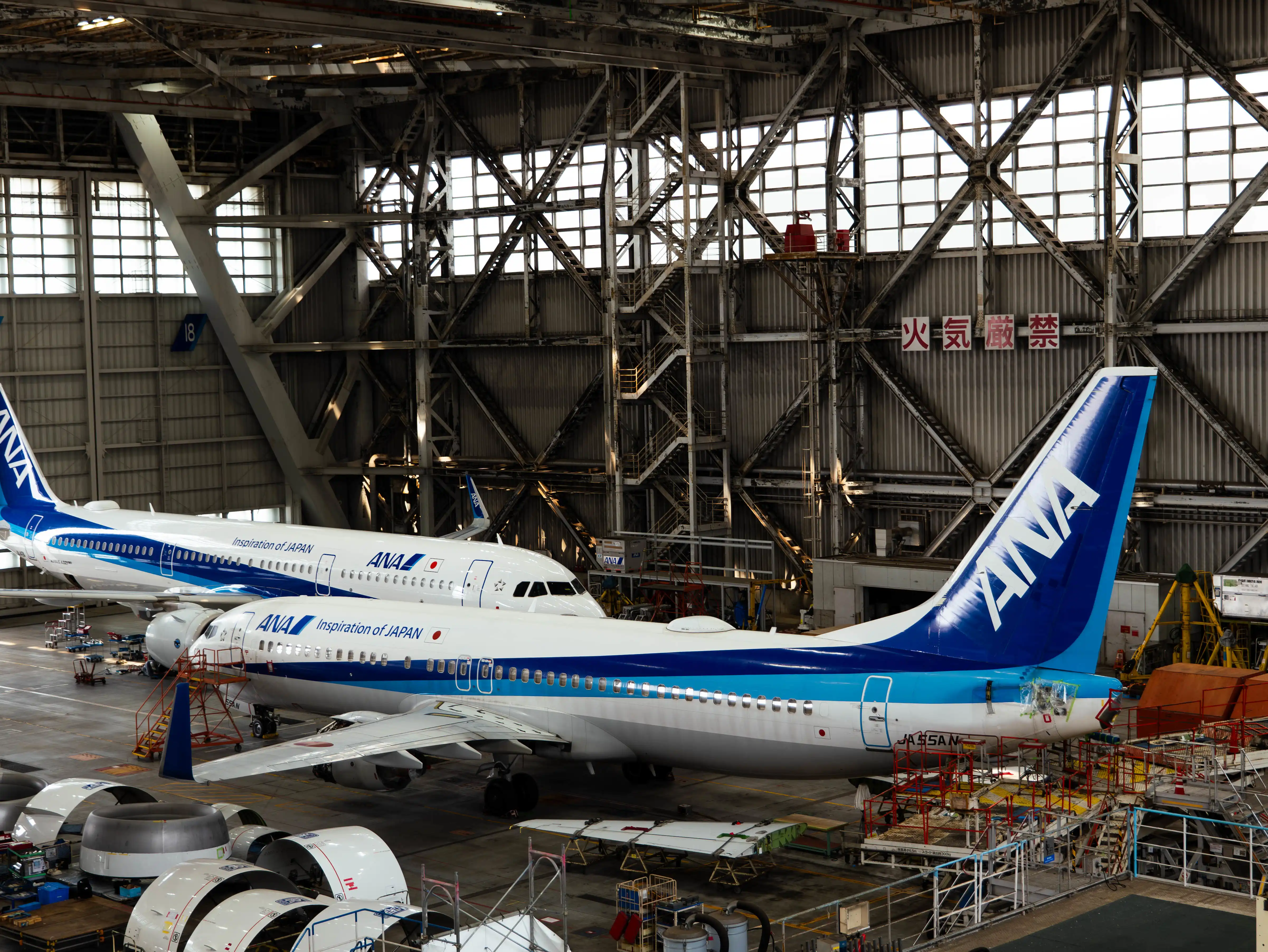 ANA Blue Hanger Tour