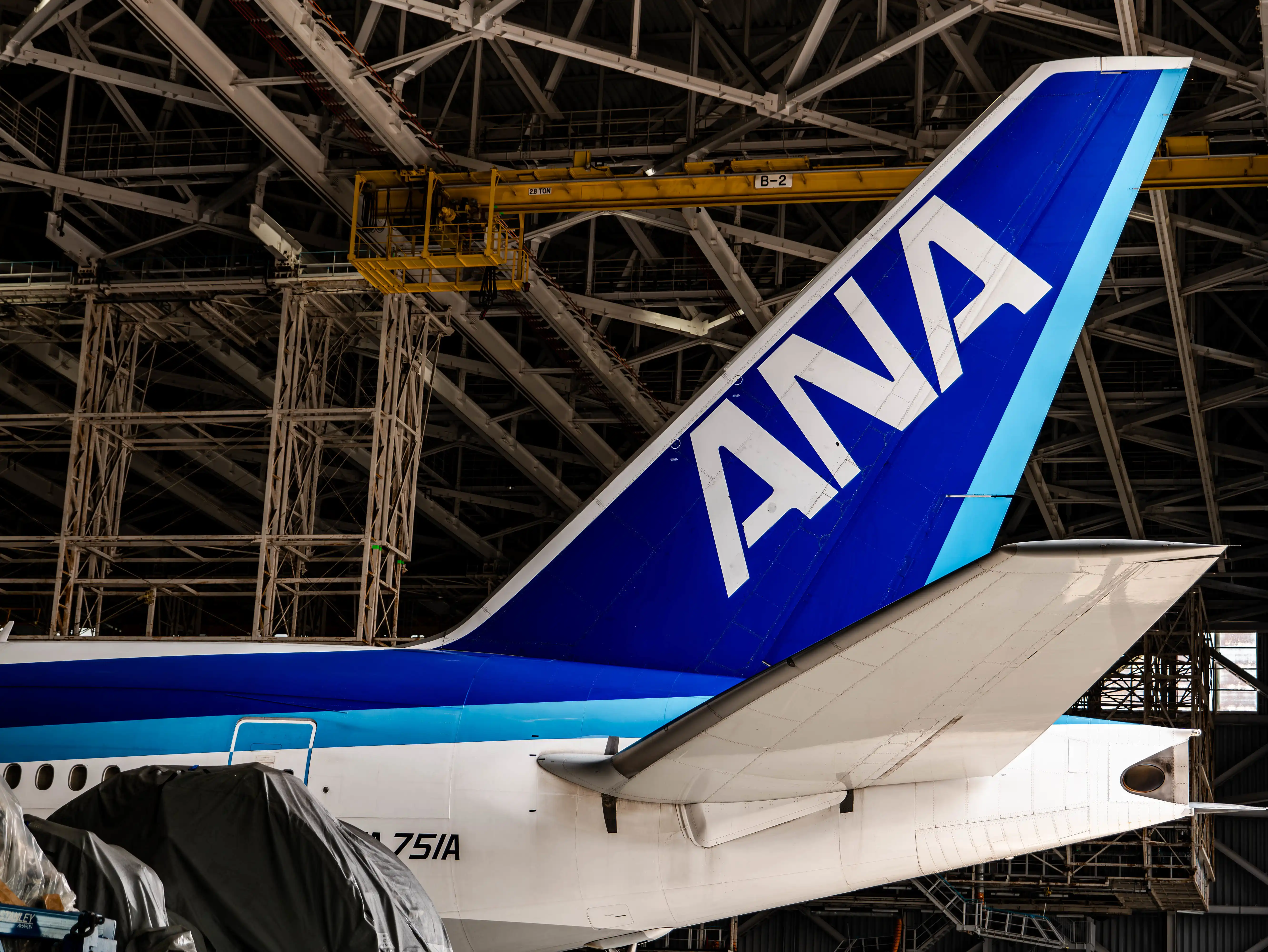 ANA Blue Hanger Tour
