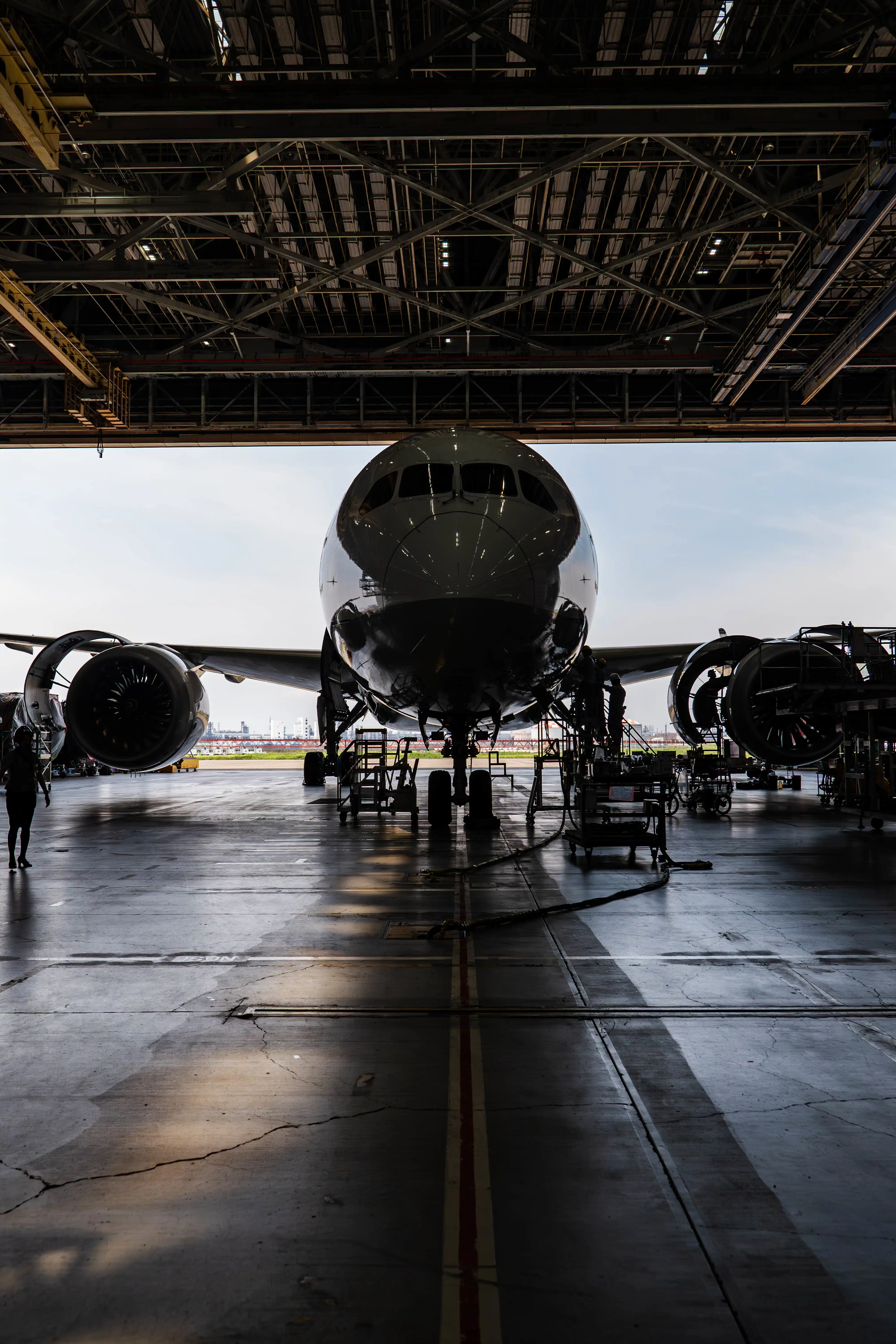 ANA Blue Hanger Tour