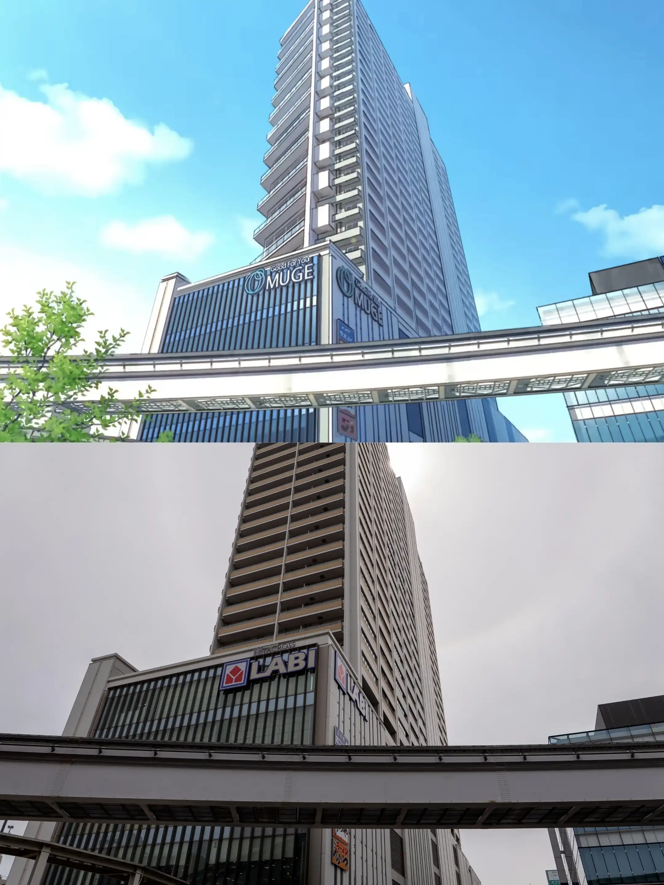 彩叶新家